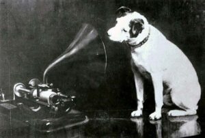 nipper dog
