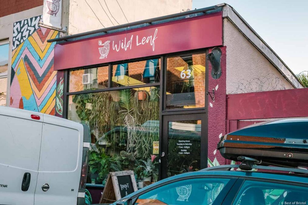 wild leaf bristol