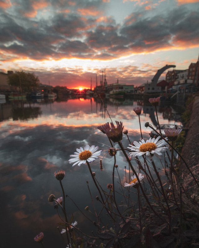 bristol harbour glow