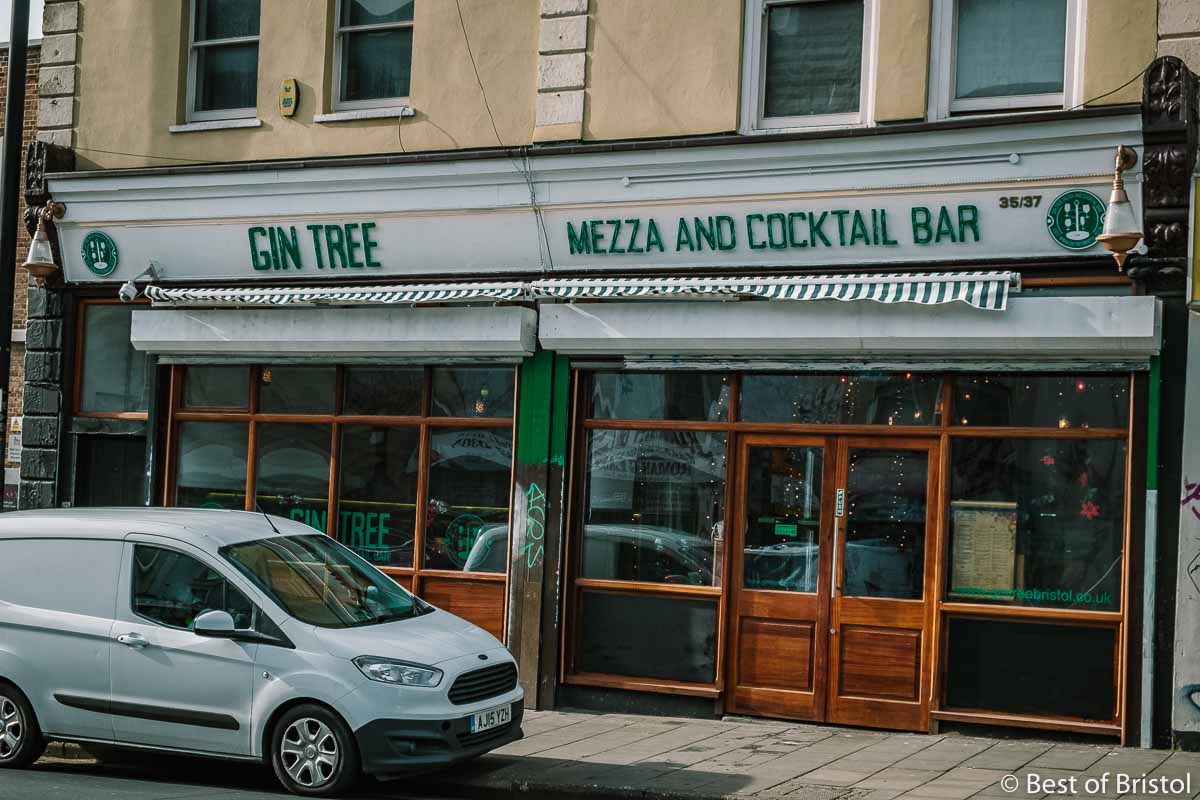 gin tree