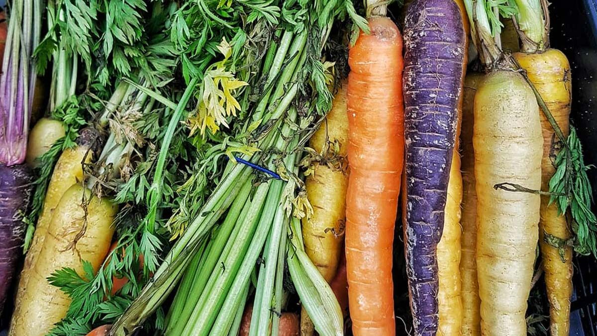 clifton fruit and veg