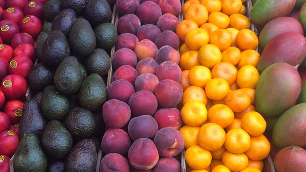 fruit