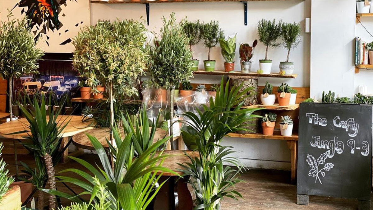 crafty jungle
