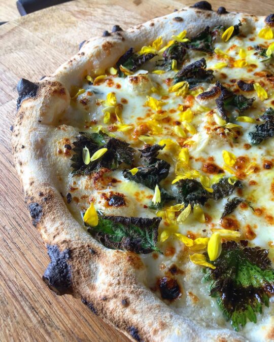 pizza cooking from mission pizza